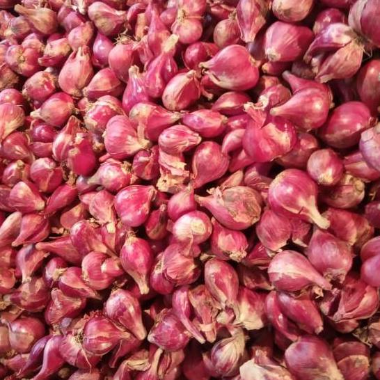 

✨MEN SALE✨ Bawang Merah BREBES Sedang 500 Gram 