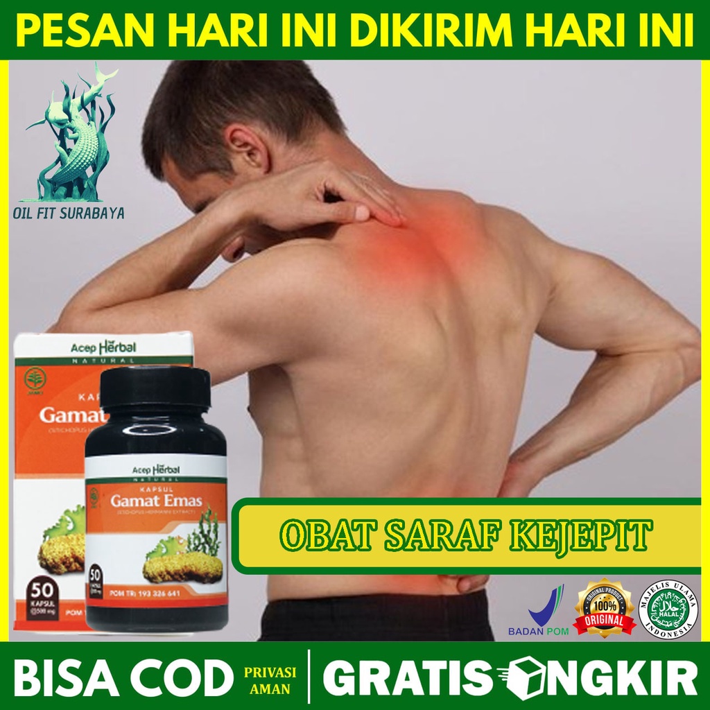 Gamat Kapsul Emas Goldmax - Obat Saraf Kejepit HNP Sarap Terjepit Pinggang Punggung Bokong Tulang Ek
