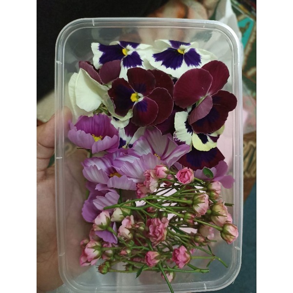 

EDIBLE FLOWERS - GARNISH BUNGA UNTUK PUDING CAKE - DIKIRIM DIHARI YANG SAMA