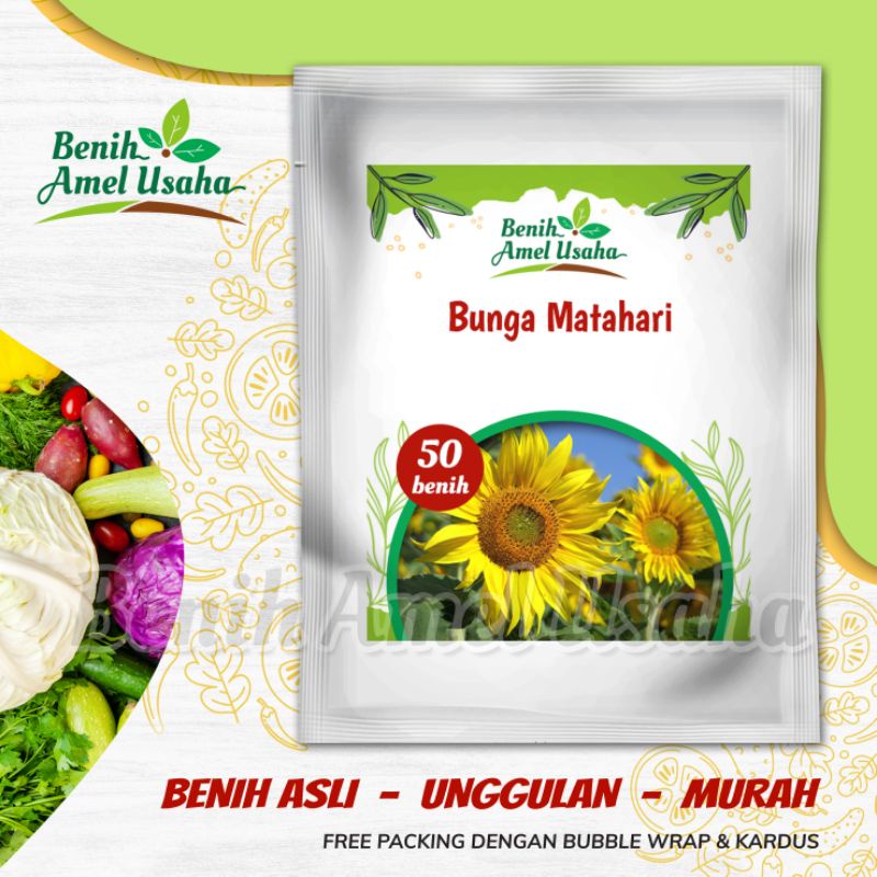 benih bunga matahari (sun flower) isi 50 benih / biji bunga matahari jumbo