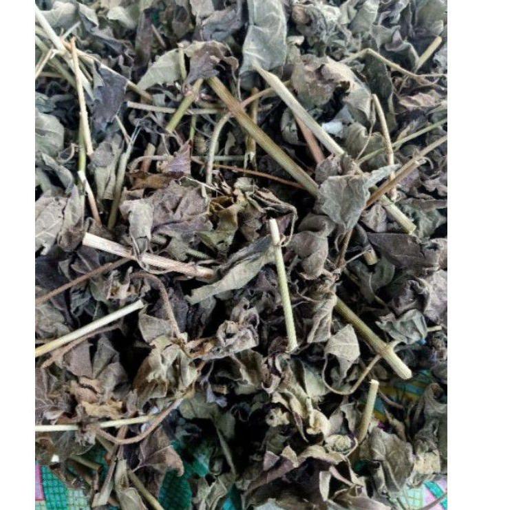 

Belanja sekarang--PROMO DAUN KIRINYUH KERING 100 GRAM MURAH
