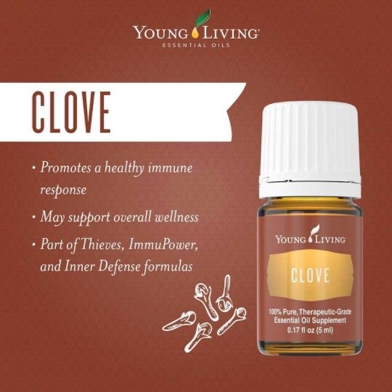 clove original essential oil yl