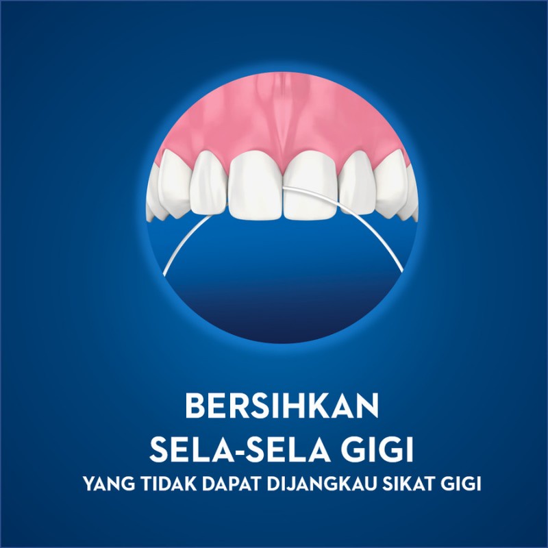 Oral-B Dental Satin Floss Benang Gigi Mint - 50 M