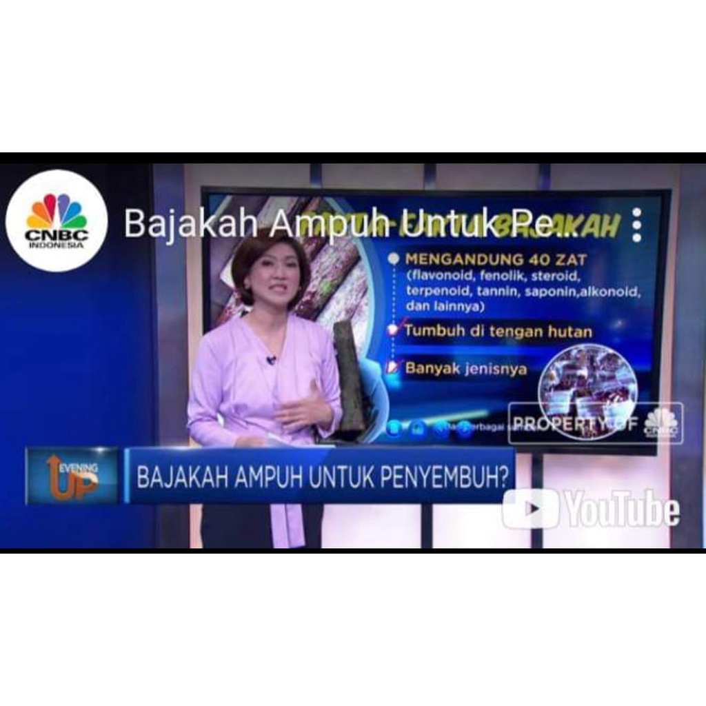 

KTr190 Akar Kayu Bajakah Tampala Kering Siap Seduh Obat Tumor dan Kanker 100% Asli Kalimantan