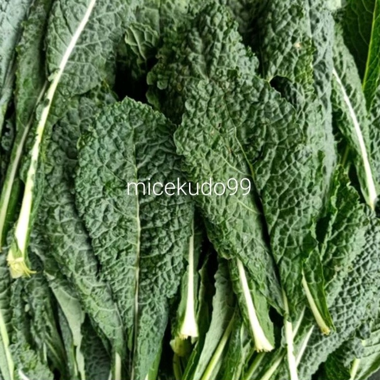 

KALE NERO ORGANIK SEGAR 250GR SAYUR KALE LURUS FRESH