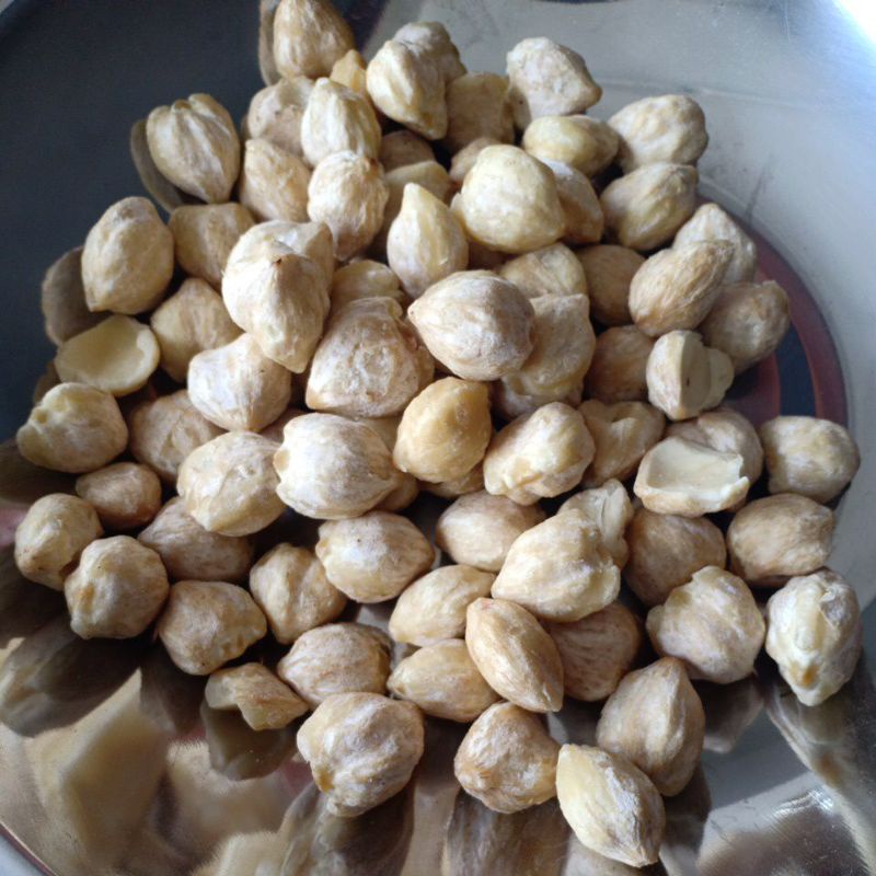 

Kemiri Bulat