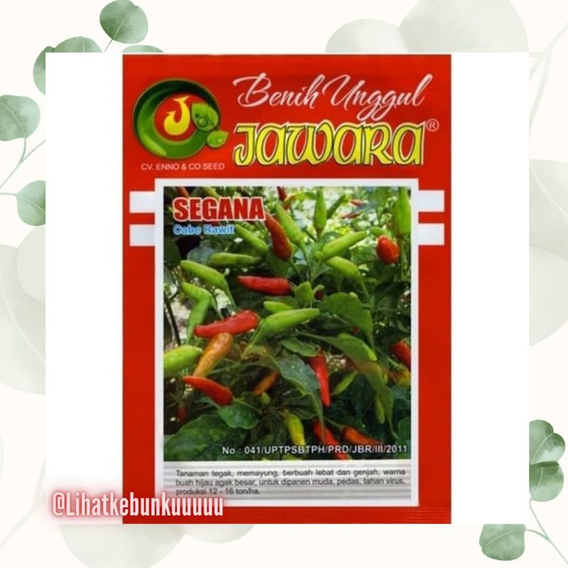 Benih Cabe Rawit Hijau Segana