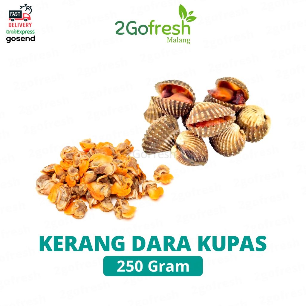 

Kerang Dara Kupas Fresh - Sayur Sayuran