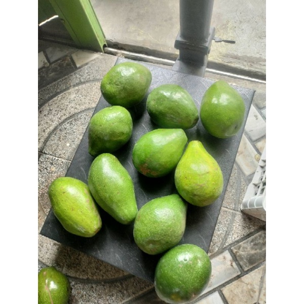 

alpukatmentegalampungtimur