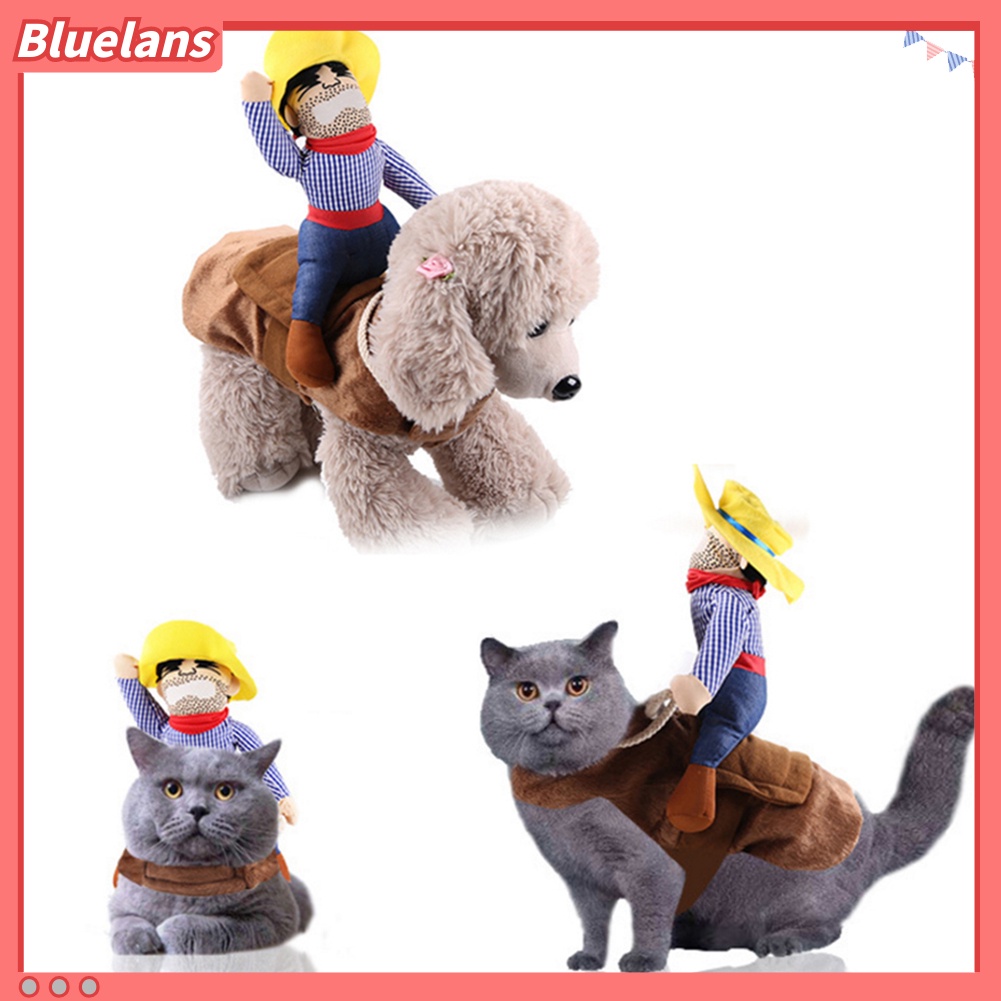 Kostum Cosplay Boneka Cowboy Knight Rider Untuk Anjing Peliharaan