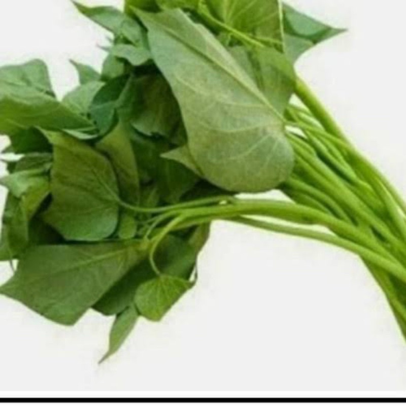 

sayur daun kacang/sayur lembayung per ikat