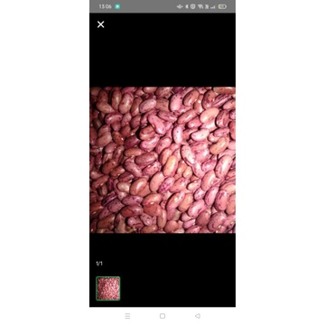 

kacang merah/red Beans/brenebon 1kg