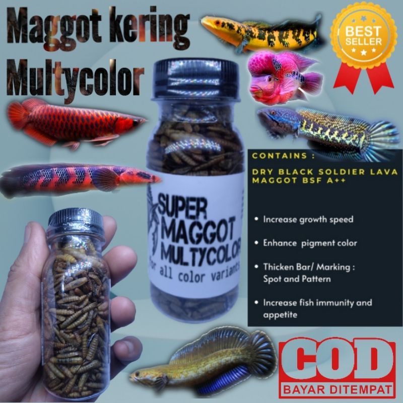 maggot kering/maggot kering/super maggot multycolor/maggot pakan chan na/pakan ikan hias/maggot paka