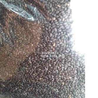 

SALE!!1 kg Basil Seed Biji Selasih Import kualitas Premium per Kg|KD6