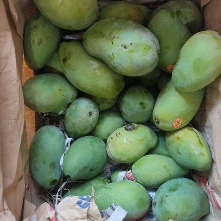

Mangga Harum Manis 1kg