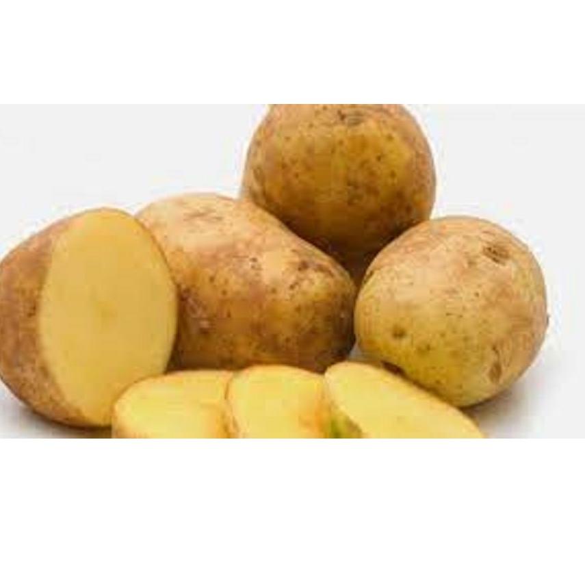 

Star 9.9 Kentang Dieng Besar Organik 1000Gram grosir