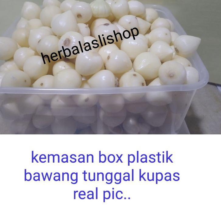 

BRANDS FESTIVAL Bawang Putih Tunggal Bawang Lanang kupas 1kg Pilihan & Bersih gas !!