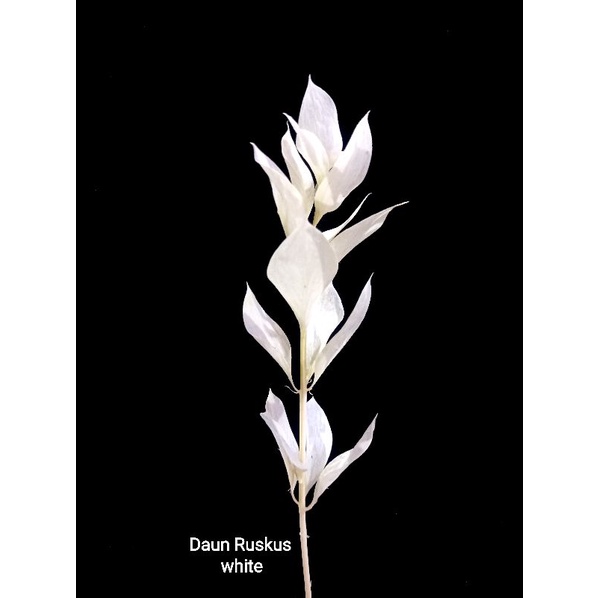 BUNGA KERING bahan dekorasi,vas bucket,hand bucket,souvenir hantaran pernikahan