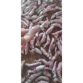 

Cumi asin kering 250gram