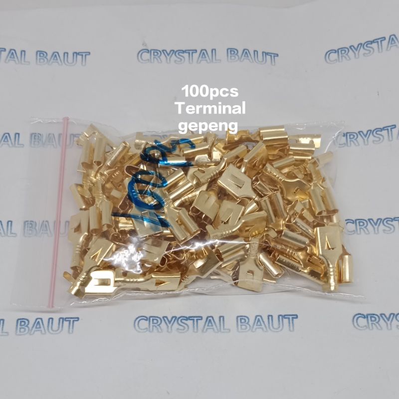 100pcs Terminal skun gepeng bisa buat klakson dan soket lainya