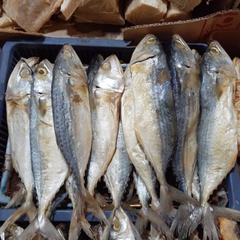 

iwak peda asin