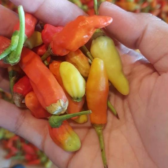 

SALE!!Cabe rawit merah 1 kg|SQ2