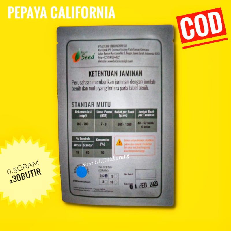 Benih Pepaya California