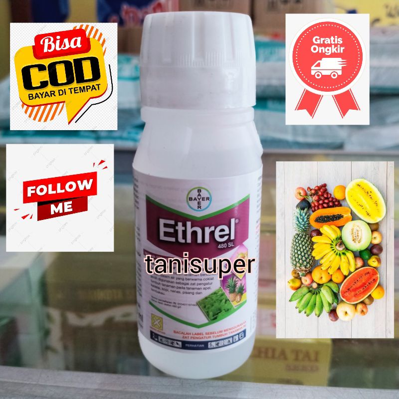 Zat pematang buah pisang 100ml - Ethrel 480 SL