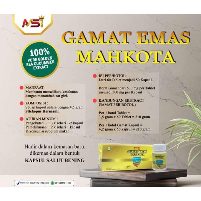 Gamat Emas Mahkota MSI