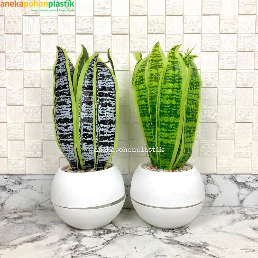 Pohon Daun Lidah Mertua Tepi Pot Bola Plastik Putih Tanaman Artifisial Dekorasi Hiasan Ruangan Rumah