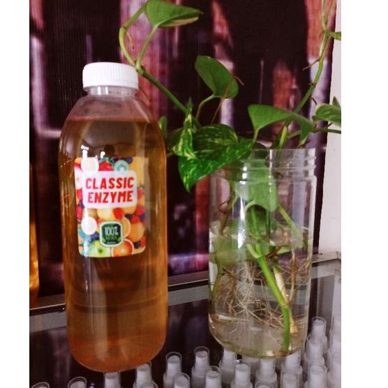 

TRXW2i2H--Classic Enzyme 500ml