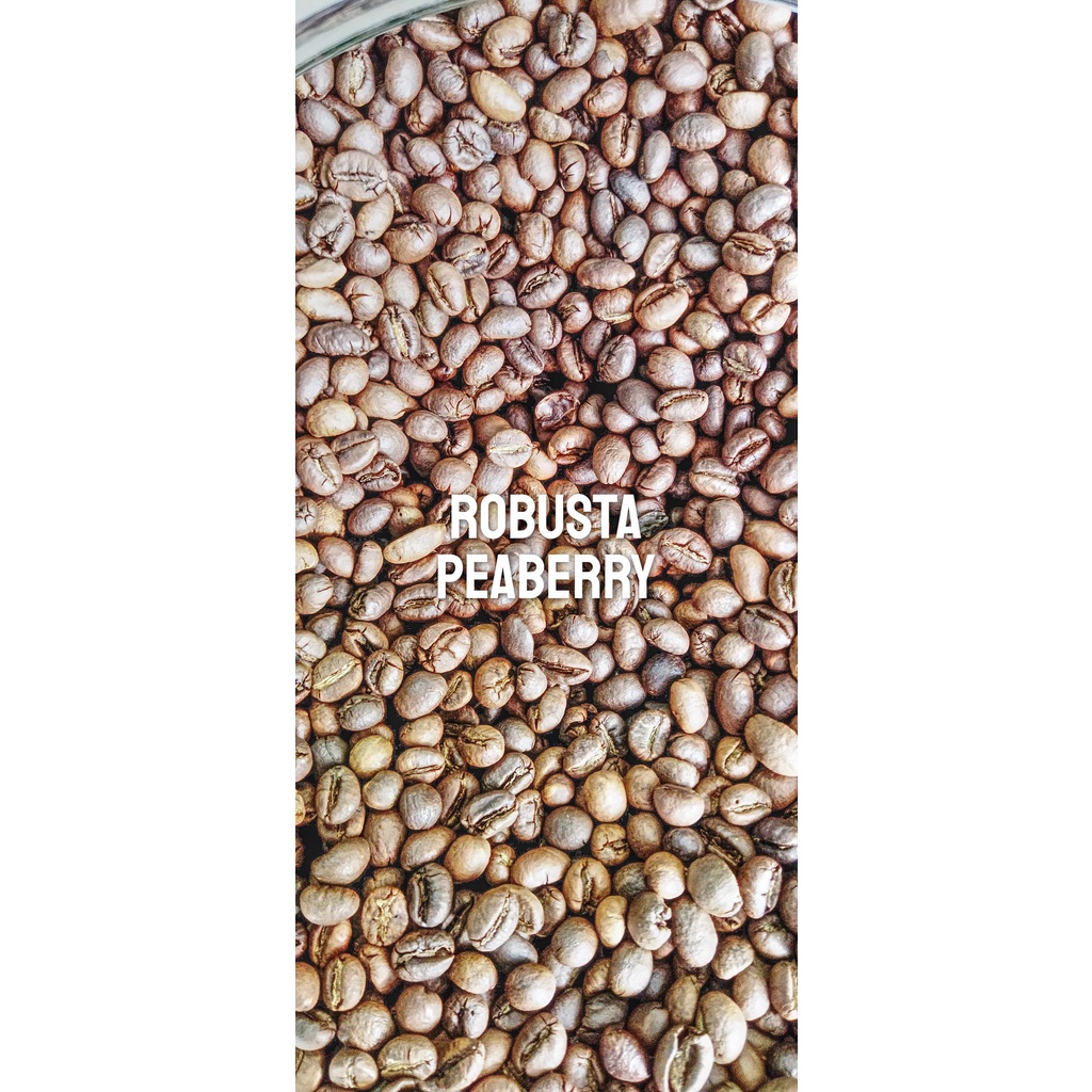 

Kopi Robusta Peaberry Pagaralam Sumsel | Rendjana Coffee