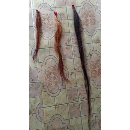 Rambut untuk Mandau Asli KUDA + BONUS Perekat Rambut M4nd4u asli