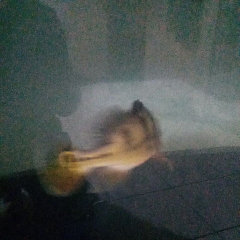 pajangan hiasan aquarium ikan pbass mono good marking