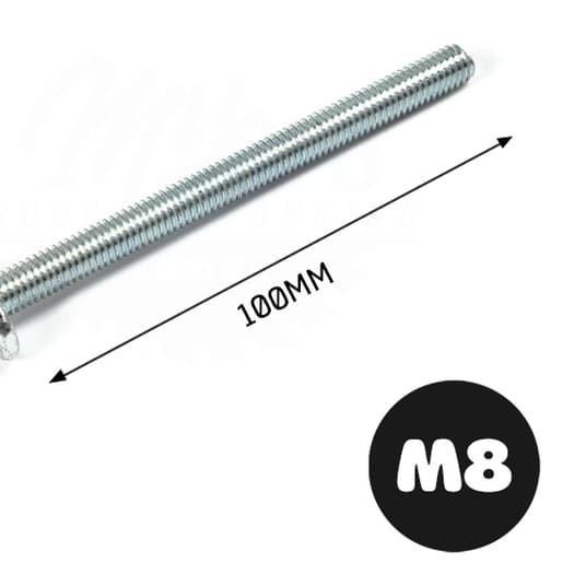 T-Bolt / T-Nut for T-slot / T-Track M8x100