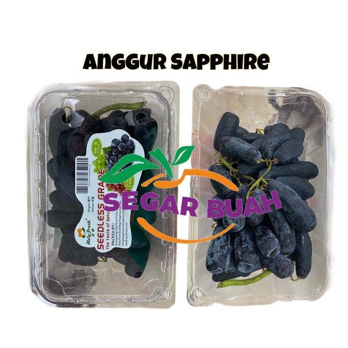 

Anggur Hitam Lonjong Sweet Sapphire Pack Tanpa Biji (Anggur Moondrop)