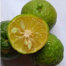

100Gr Buah Jeruk Limau Segar