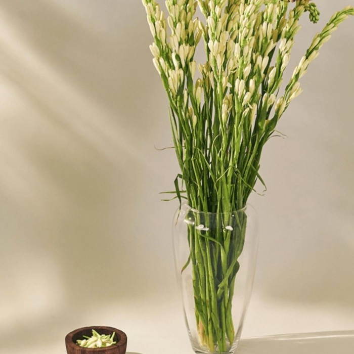 Bunga Bunga Sedap Malam Segar Per 10 Tangkai