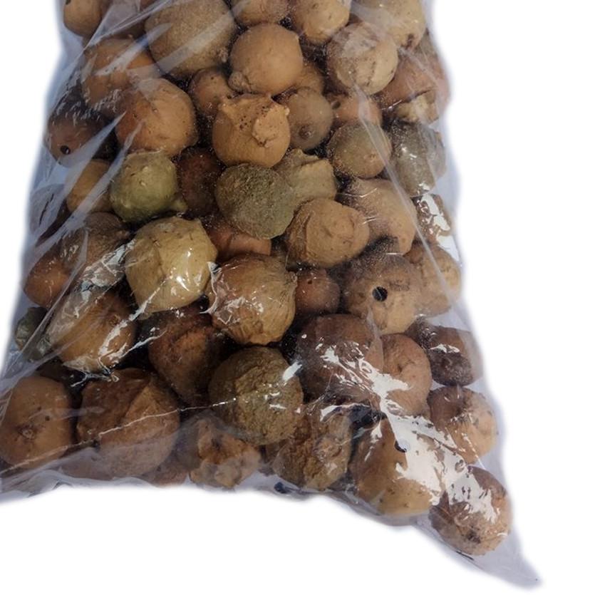 

BISA COD ✔️Biji Manjakani Kering 250gr, 500gr, 1kg (oak galls)|KD4