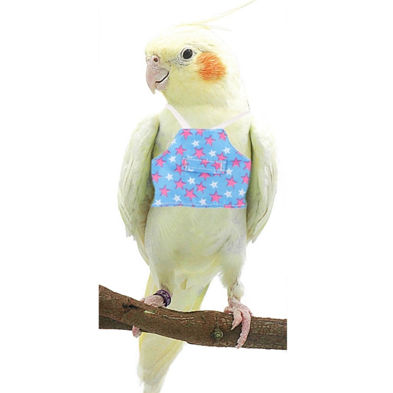 Rompi Harness Untuk Aktivitas Luar Ruangan