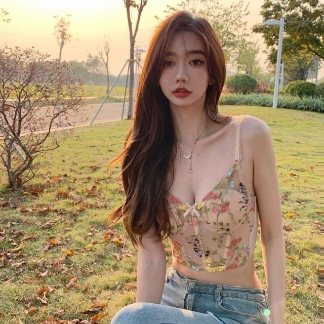 [Jakarta ready] Frs home Renda Prancis bersulam lingerie wanita bagian dalam dan luar korset tulang ikan rompi korset membent push up bra