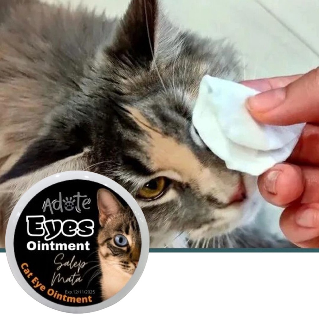 Obat Mata Kucing Kitten Adote Salep Mata Kucing Dan Anjing Super Ampuh FEFARM