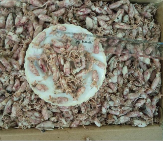 

SALE✅Ikan asin beby cumi-500gram - ZHR|KD5