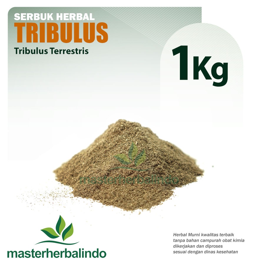 1KG Bubuk TRIBULUS Herbal Aphrodisiac Stamina Hipertensi