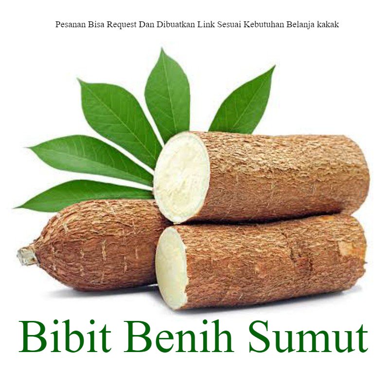 

Ubi Kayu Umbi singkong 1 Kg Pesan Baru Cabut sehingga Sampai Segar singkong mentga umbi herbal bahan tepung Bila ingin order banyak bisa kami buatkan link khusus ya kak