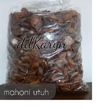 

Harga Bagus--250gr 1/4kg Biji mahoni Utuh kering/Biji buah mahoni/ Sky Fruits / Xiang Tian Guo