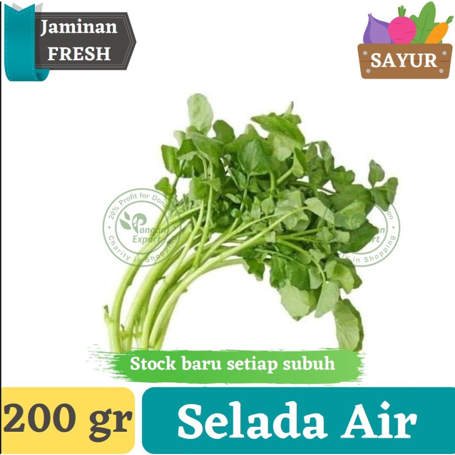 

Selada Air Segar | Sayur Buah Segar