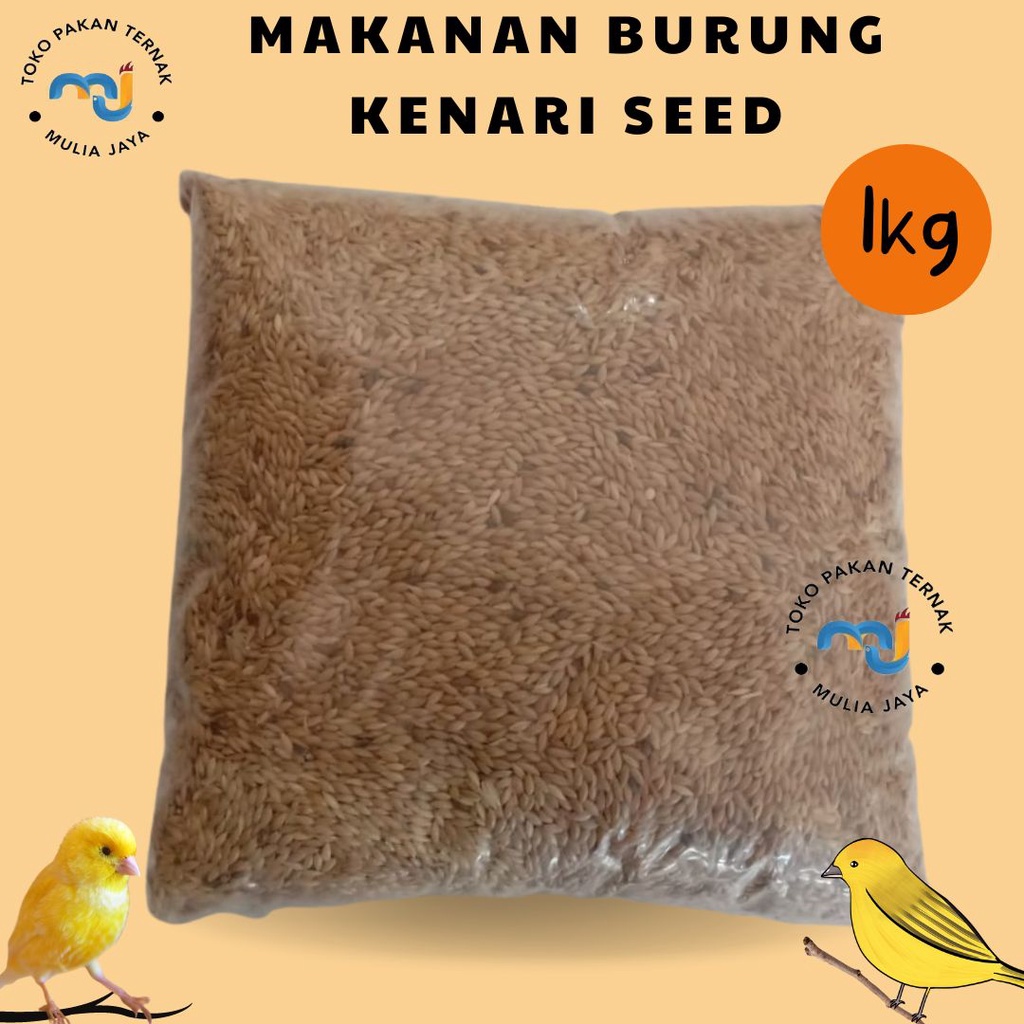 Image of Kenari Seed 1kg Makanan Burung Lovebird #1