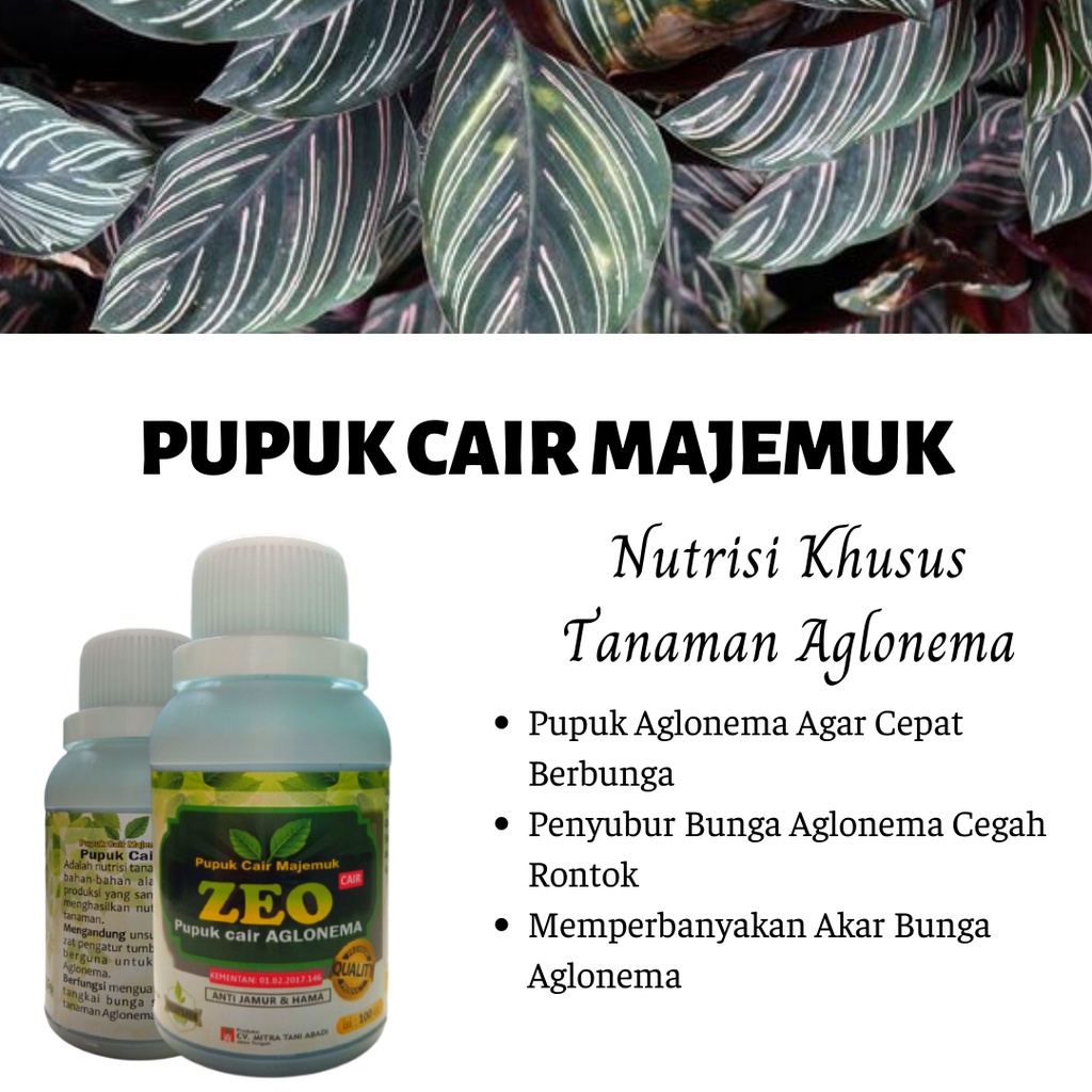 Jual Pupuk Tanaman Hias, Pupuk Zeo Majemuk, Pupuk Untuk Tanaman ...