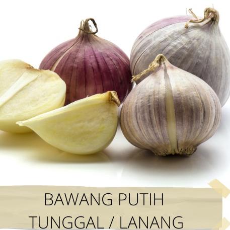 

10.10 Product HOT Bawang Putih Tunggal Lanang Jamin Bagus dan Fresh !!!